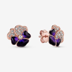 Rose Gold Plated Pandora Deep Purple Pansy Flowers Stud Earrings | 1305967-TW