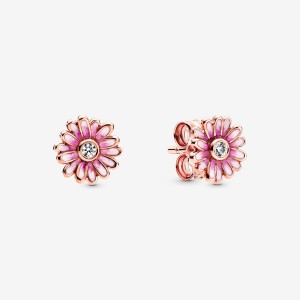 Rose Gold Plated Pandora Pink Daisy Flowers Stud Earrings | 6305814-RD