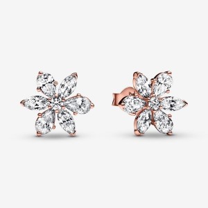 Rose Gold Plated Pandora Sparkling Herbarium Clusters Stud Earrings | 8237196-EW