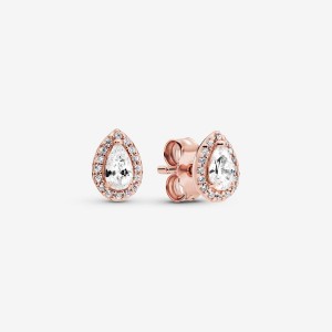 Rose Gold Plated Pandora Teardrop Halo Stud Earrings | 5603914-VJ