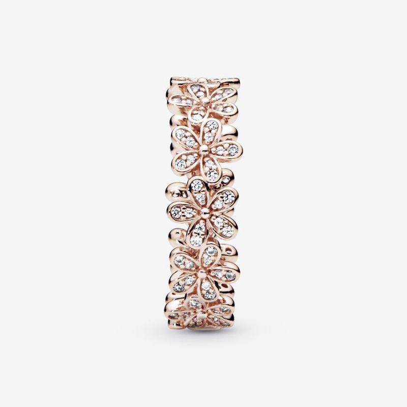 Rose Gold Plated Pandora Daisy Flower Band Rings | 8017496-QL