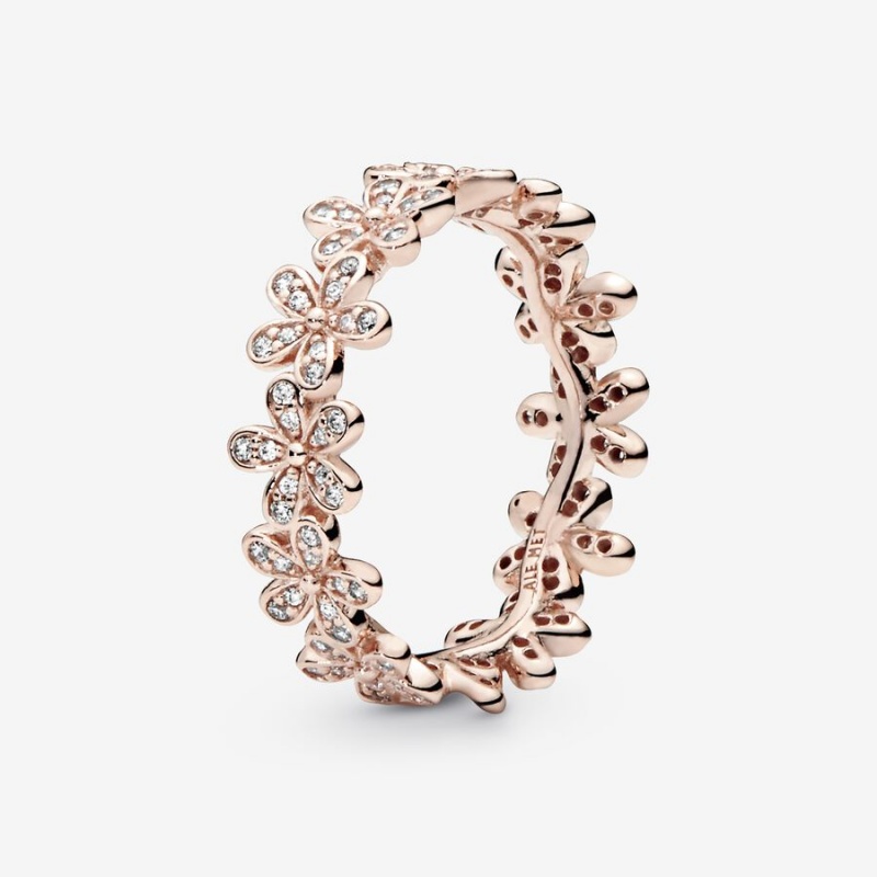 Rose Gold Plated Pandora Daisy Flower Band Rings | 8017496-QL