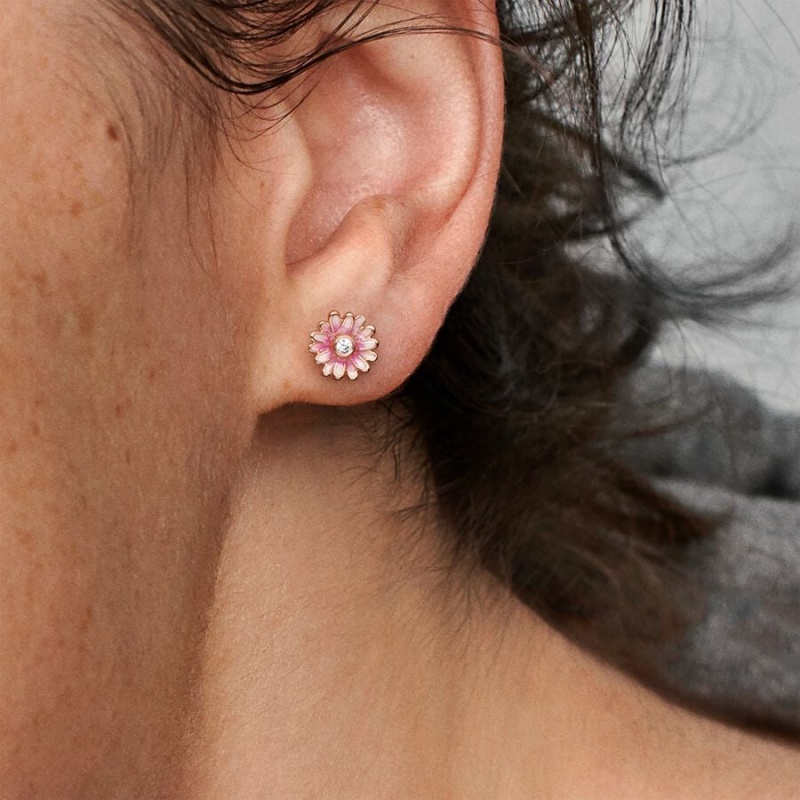 Rose Gold Plated Pandora Pink Daisy Flowers Stud Earrings | 6305814-RD