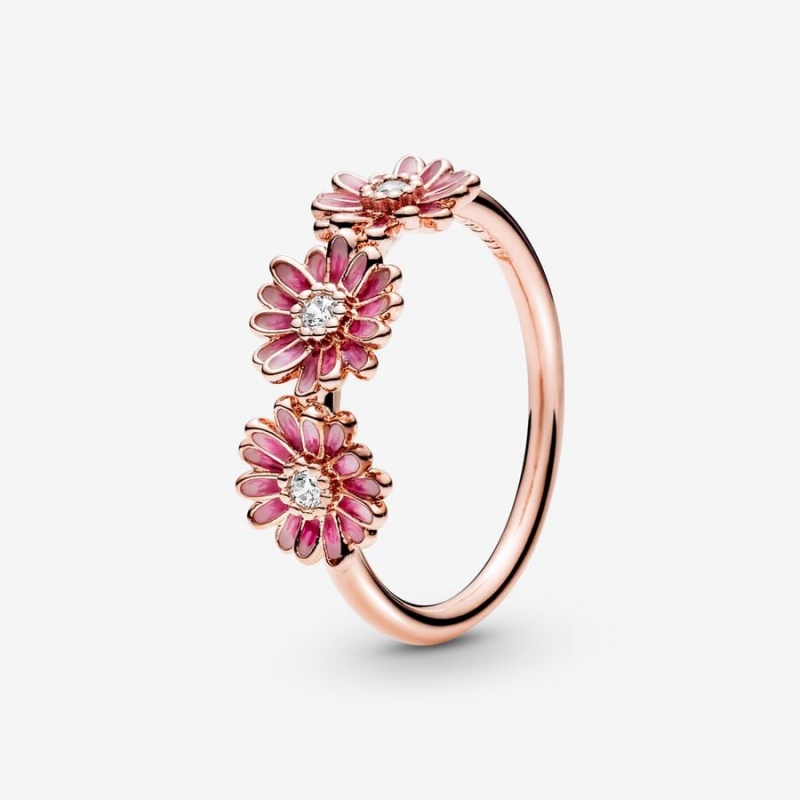 Rose Gold Plated Pandora Pink Daisy Flower Trio Statement Rings | 9426058-QB