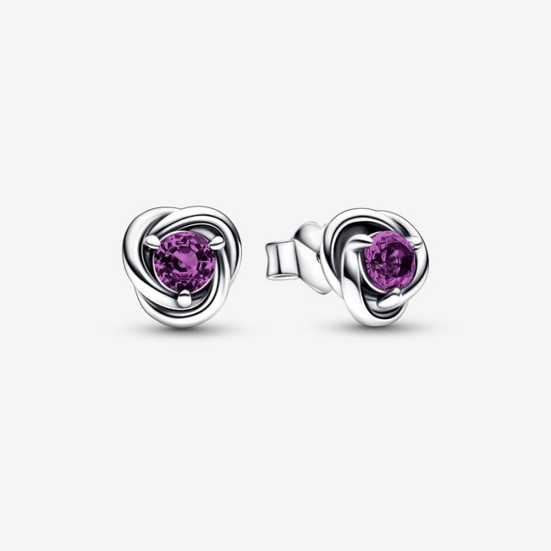 Sterling Silver Pandora February Purple Eternity Circles Stud Earrings | 6831790-RP