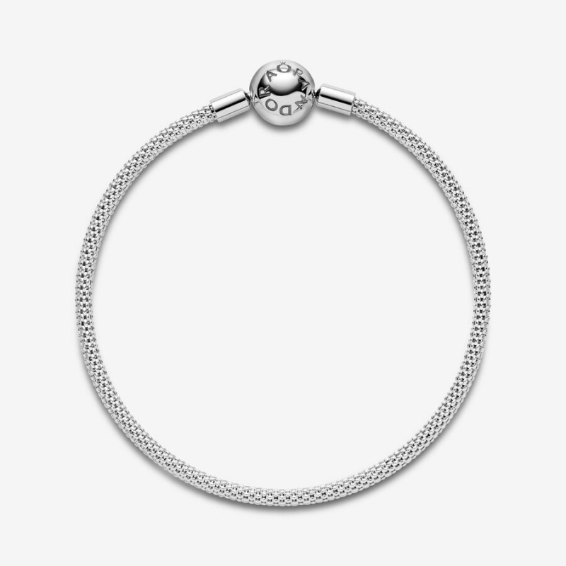 Sterling Silver Pandora Moments Mesh Charm Holders | 8031247-PU