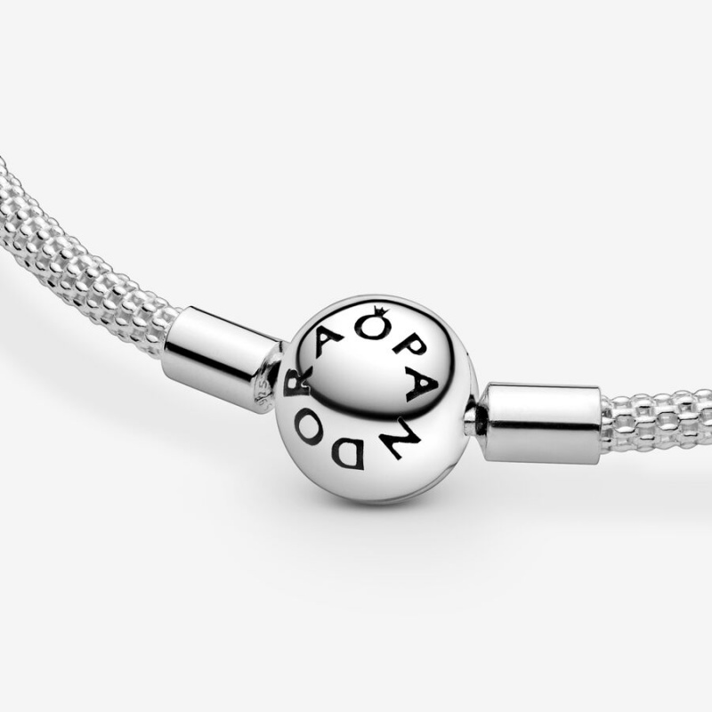 Sterling Silver Pandora Moments Mesh Charm Holders | 8031247-PU